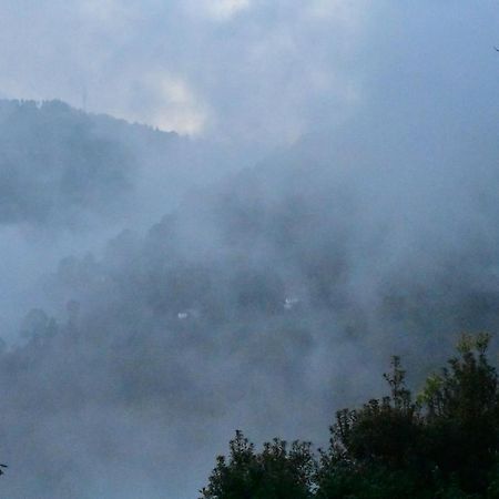 Bagar Trails Hotel Nainital Ngoại thất bức ảnh
