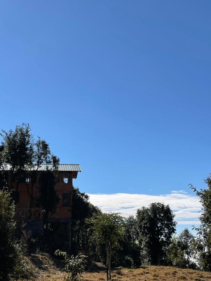 Bagar Trails Hotel Nainital Ngoại thất bức ảnh