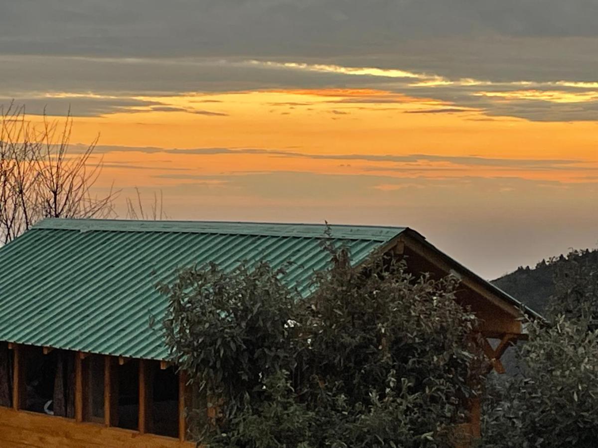 Bagar Trails Hotel Nainital Ngoại thất bức ảnh
